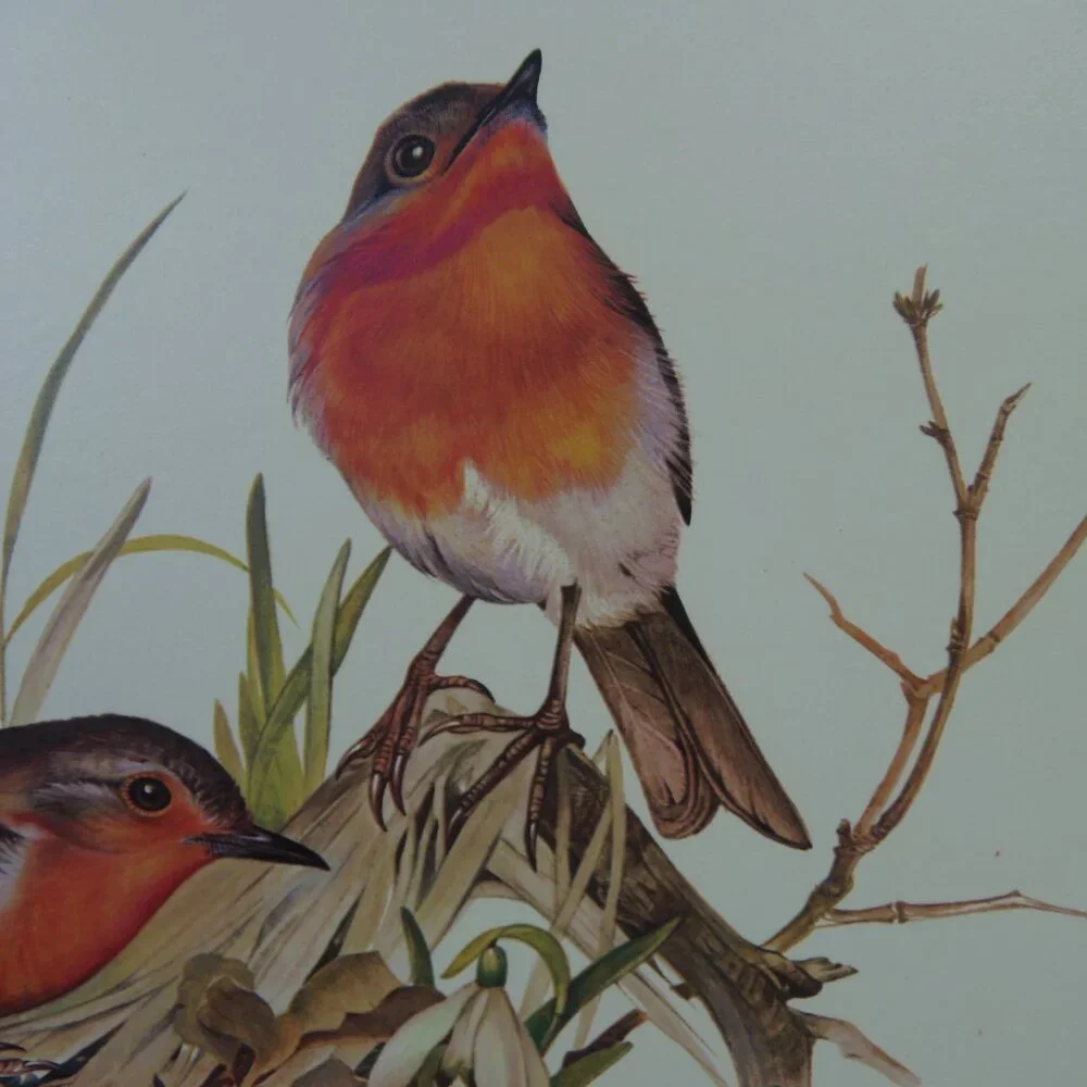 Vintage‎ Placemat Place boards Bird Pictures Set -4 Table Settings Cottage Core